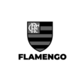 flamengo-logo-gocache-home